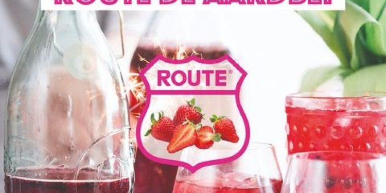 Wandel mee met Route de Aardbei in Holten keuntje 