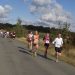 Fraaie wandelroute op zondag 11 juli bij Greun Hoolt’n espelo 