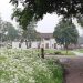 Activiteiten voor jeugd en jongeren: Pop it Up! viavie welzijn gemeente corona 