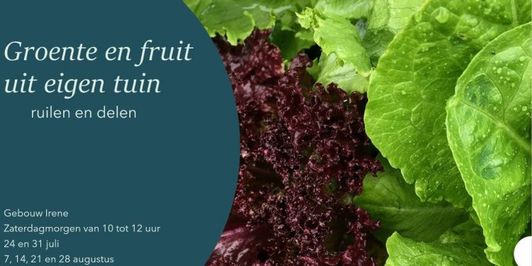 Groente en fruit uit eigen tuin ruilen dondertman 