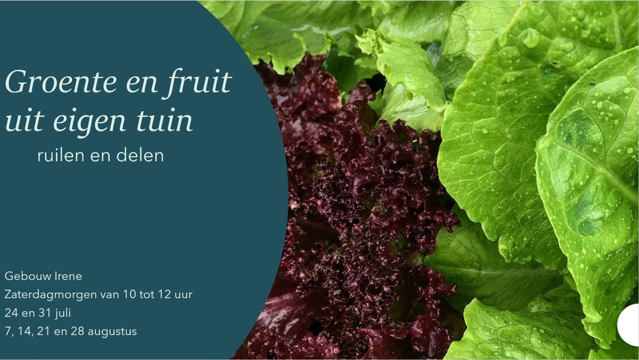 Groente en fruit uit eigen tuin ruilen dondertman 