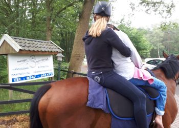 Kennismaken met de paardensport snorrewind 