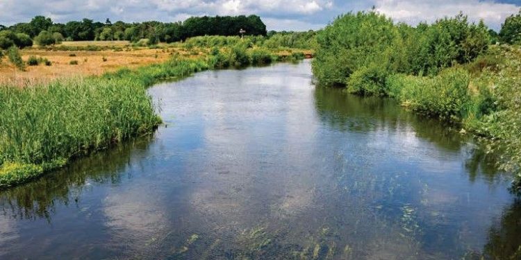 Eerste biografie over het landschap Sallandse Heuvelrug & Twents Reggedal sallandse heuvelrug 