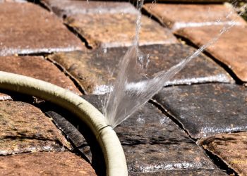 Enthousiaste en milieubewuste ambassadeurs gezocht voor GroenDoen gemeente 