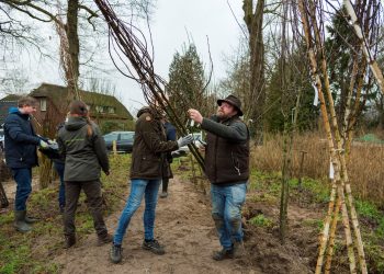 Burgemeester Arco Hofland kondigt afscheid aan gemeente 