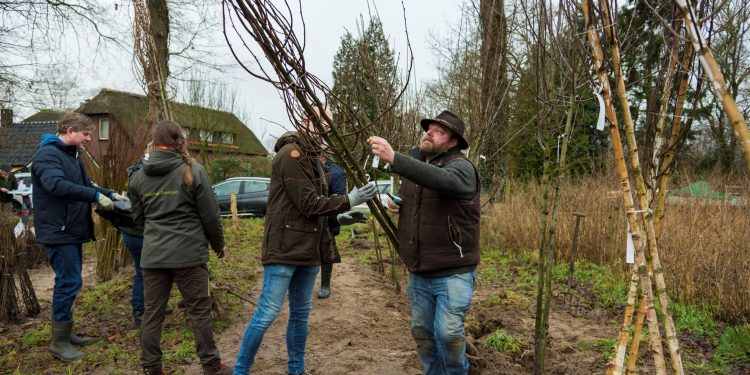 HoltensNieuws.nl Natuur Overijssel is 21.000 bomen rijker Natuur Overijssel is 21.000 bomen rijker gemeente