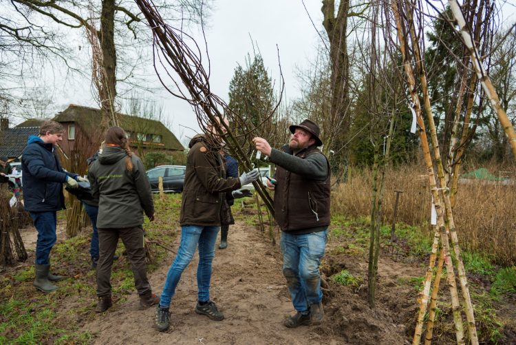 Natuur Overijssel is 21.000 bomen rijker gemeente 