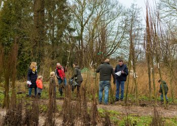 Natuur Overijssel is 21.000 bomen rijker gemeente 