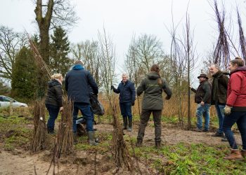 Natuur Overijssel is 21.000 bomen rijker gemeente 