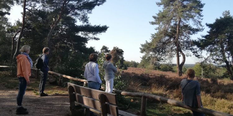Wil je praten over het verlies van een dierbare? natuurdiorama 
