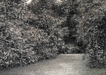Expositie “Fantastische Frauen” in Kulturhus kulturhus 