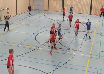 Holtense handbaldames kampioen door uitzege op medetitelkandidaat hv holten fotoalbum 