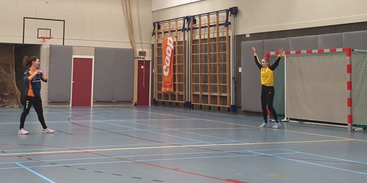 Doelpuntenfestijn bij handbaldames hv holten 