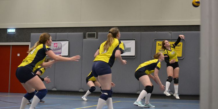 Volleybaldames 1 doet goede zaken mintonette 