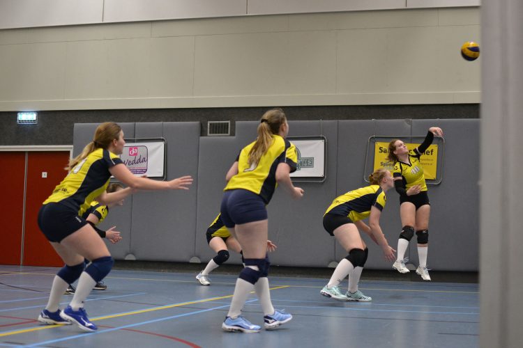 Volleybaldames 1 doet goede zaken mintonette 