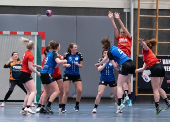 Holtense handbaldames kampioen door uitzege op medetitelkandidaat hv holten fotoalbum 