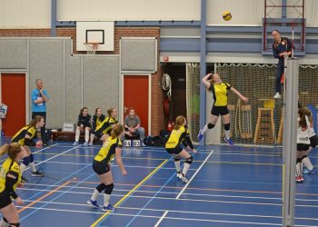 D1 Mintonette kampioen! tastoe mintonette 