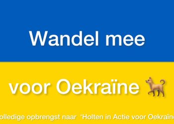 Uitslagen gemeenteraadsverkiezingen Rijssen-Holten 2022 VVD SGP GR2022 GL/PvdA gemeenteraadsverkiezingen2022 Gemeentebelang Rijssen-Holten ChristenUnie cda 