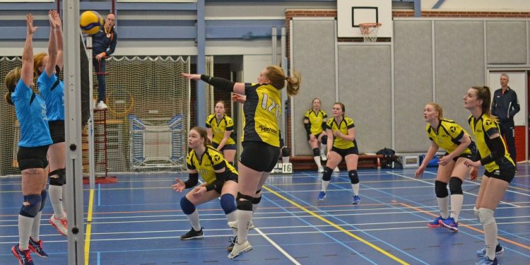 Volleybal dames 1 pakt voorlopig derde plek mintonette corona 