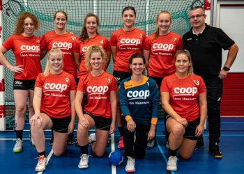 Holtense handbaldames kampioen door uitzege op medetitelkandidaat hv holten fotoalbum 