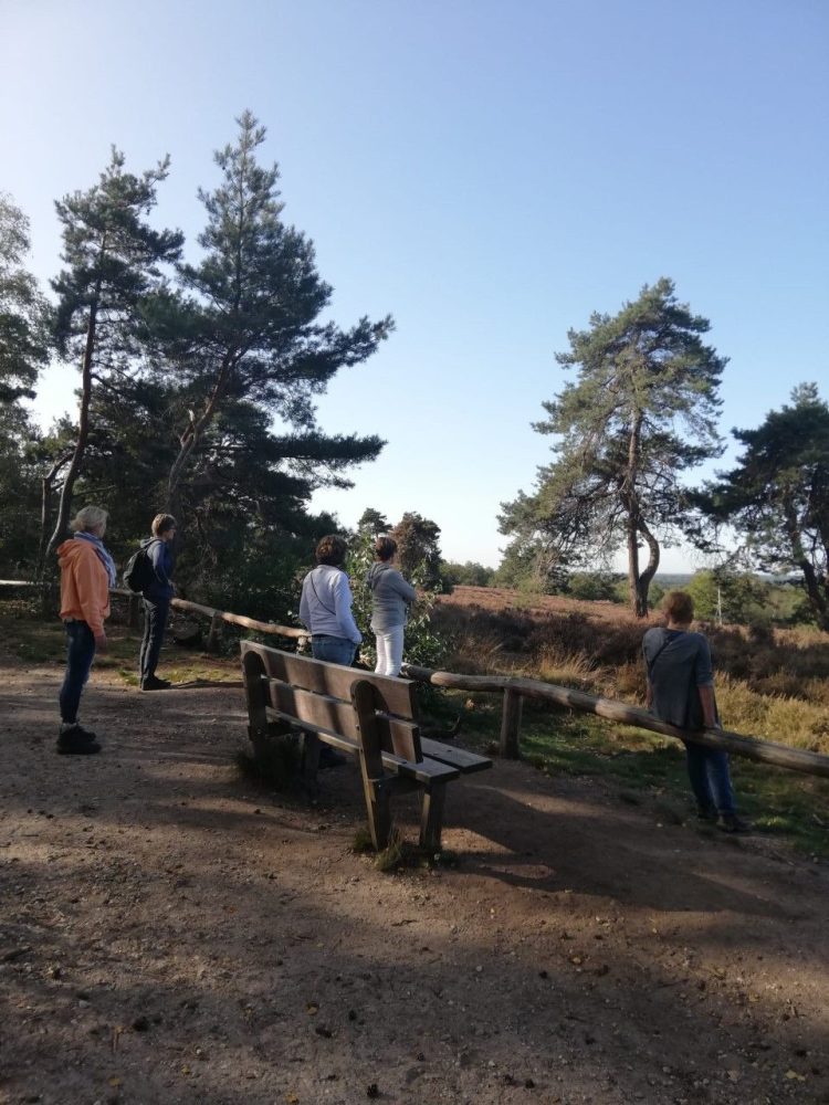 Praten over het verlies van een dierbare? Wandel mee met Evenmens natuurdiorama 