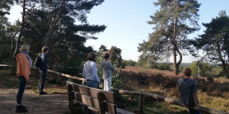 Praten over het verlies van een dierbare? Wandel mee met Evenmens natuurdiorama 