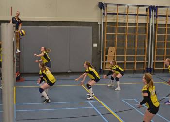 Promotie lonkt voor volleybaldames 1 mintonette 