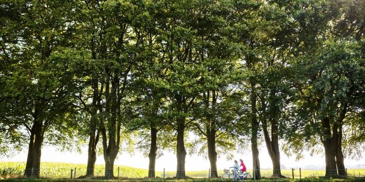 Kom fietsen en eten op de Sallandse Heuvelrug sallandse heuvelrug de biester 