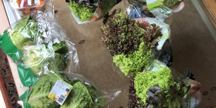 Het doet pijn hoeveel goed eten de ALDI in Holten weggooid.  