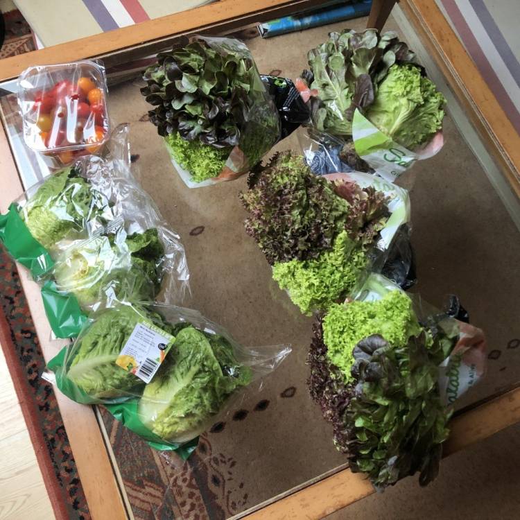 Het doet pijn hoeveel goed eten de ALDI in Holten weggooid.  
