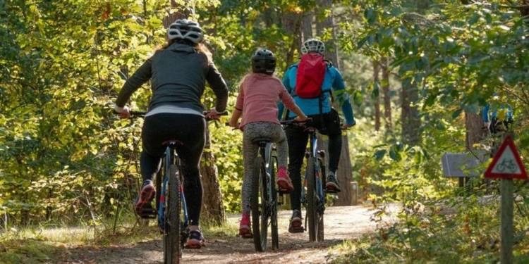 Gemeenten tegen aanpak afsluiten mountainbikepaden door provincie sallandse heuvelrug 