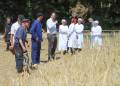 Dodenherdenking Canadese begraafplaats door Math Willems fotoalbum canadese begraafplaats 