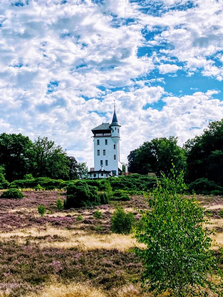 Wandeling met de boswachter over de Sprengenberg 