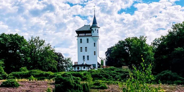 Wandeling met de boswachter over de Sprengenberg 