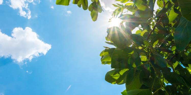 Tips om dagen met hoge temperaturen door te komen inbraak 