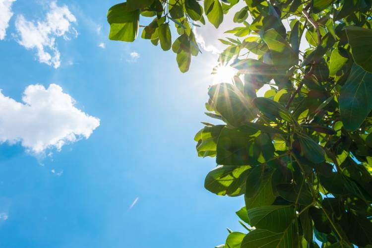 Tips om dagen met hoge temperaturen door te komen inbraak 