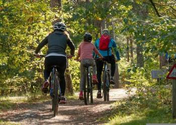 Kom fietsen en eten op de Sallandse Heuvelrug sallandse heuvelrug de biester 