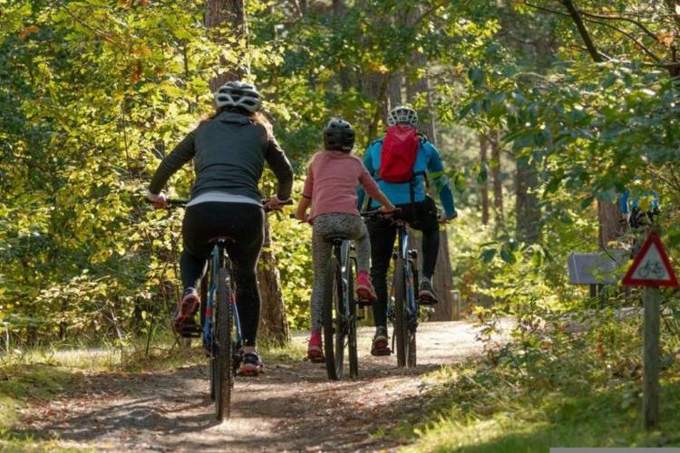 MTB route weer vrijgegeven per 1-10 sallandse heuvelrug 