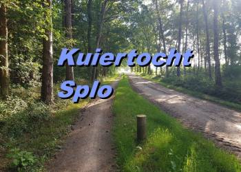Fraaie wandelroute op zondag 11 juli bij Greun Hoolt’n espelo 