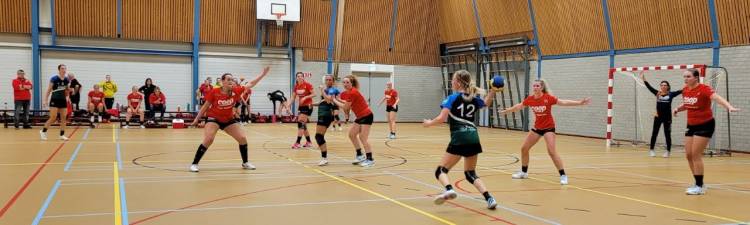 Uitwedstrijd levert net geen punt op voor handbaldames hv holten 