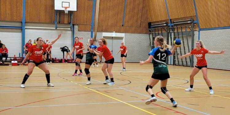 Uitwedstrijd levert net geen punt op voor handbaldames hv holten 
