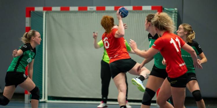 Debuterende handbaldames moeten in slotfase buigen voor HHZD hv holten bie toontje 
