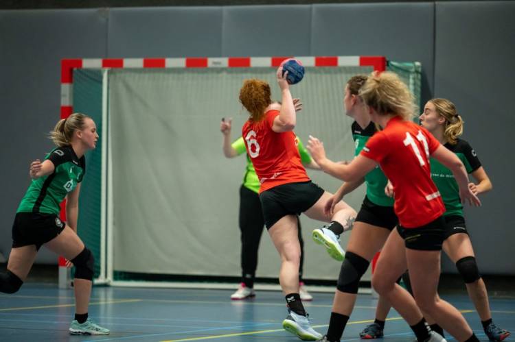 Debuterende handbaldames moeten in slotfase buigen voor HHZD hv holten bie toontje 
