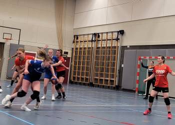 Holtense handbaldames winnen het staartduel met Havana 