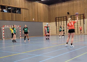 Veel strijd maar net geen punten voor handbaldames! tastoe hv holten 