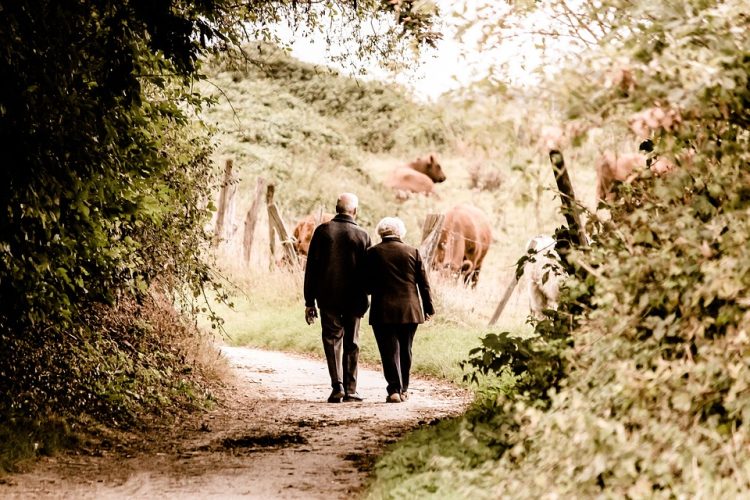 De mooiste wandelroutes rondom Holten sallandse heuvelrug 