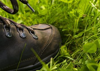 Dit is waarom jij een bezoekje zou moeten brengen aan de Holterberg sallandse heuvelrug gemeente 
