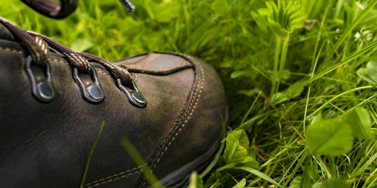 Dit is waarom jij een bezoekje zou moeten brengen aan de Holterberg sallandse heuvelrug gemeente 