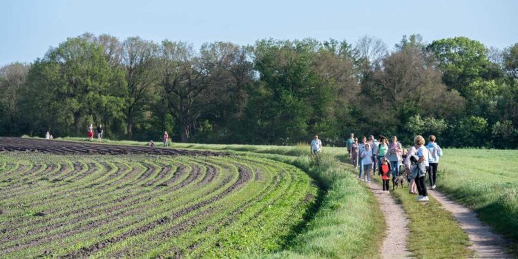 Geslaagde 7e editie avondvierdaagse espelo dijkerhoek beuseberg avond4daagse 