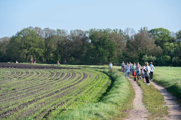 Geslaagde 7e editie avondvierdaagse espelo dijkerhoek beuseberg avond4daagse 